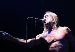 Iggy Pop Tickets